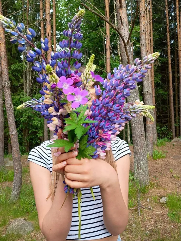 A bunch of wild flowers from the forest